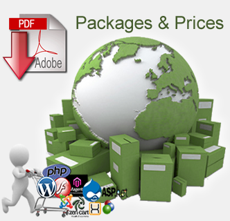 SEO Packages and Pricing